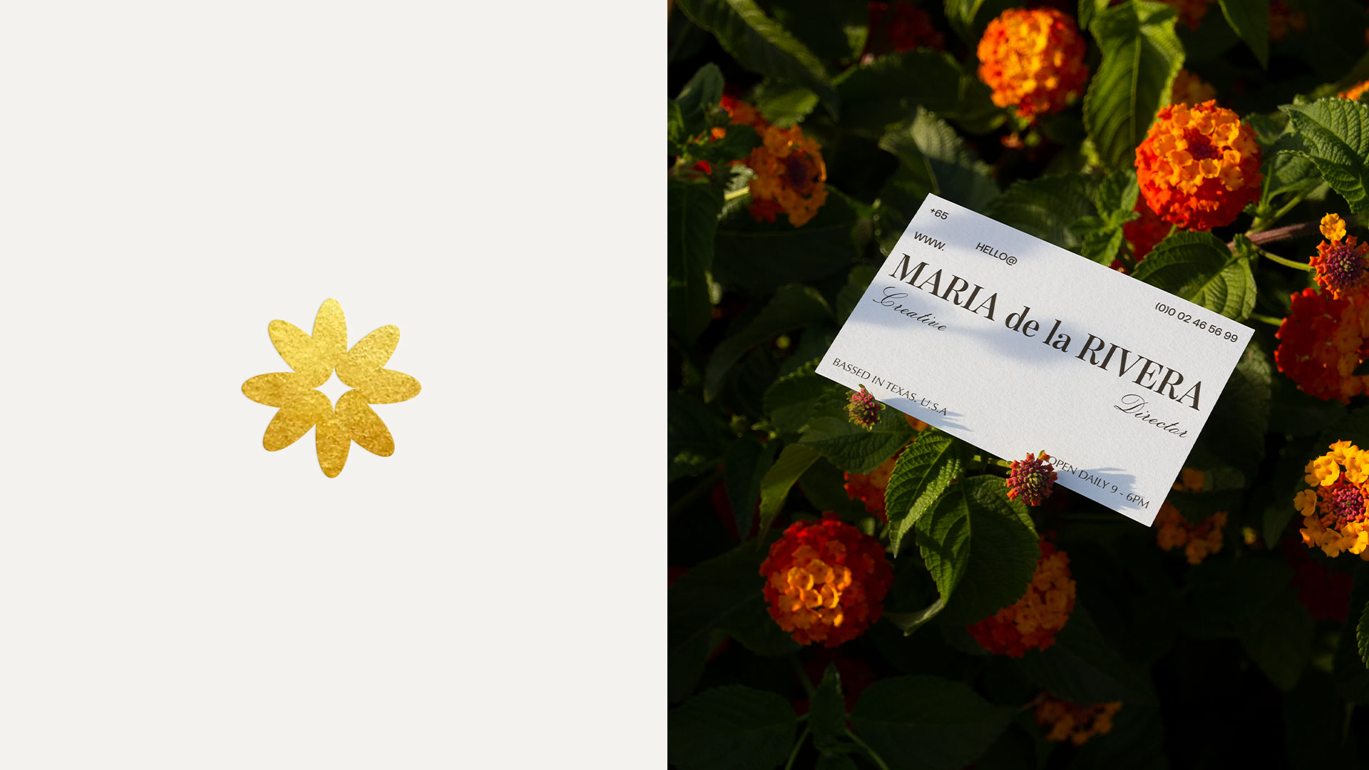 Dorothy Creative House