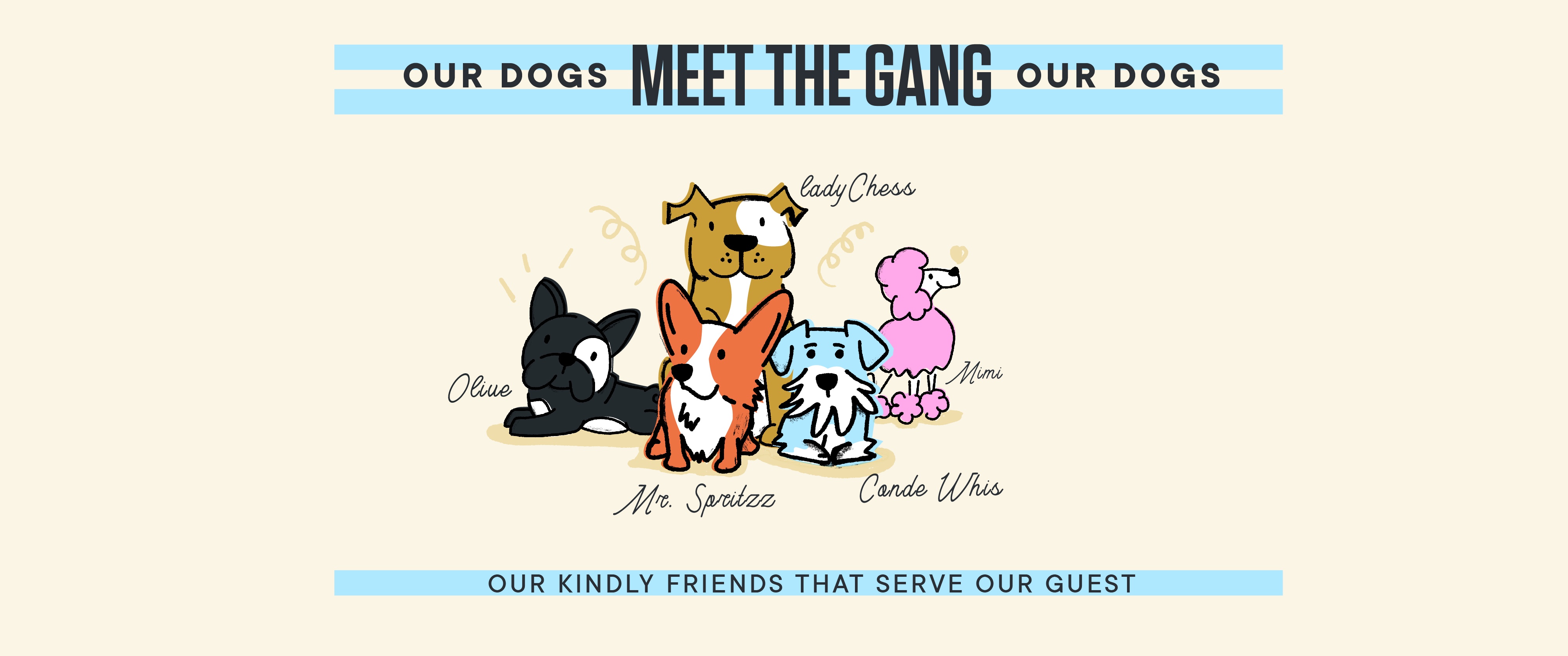 Mr.Spritzz Coctail Bar